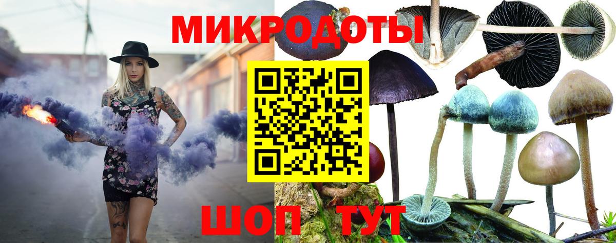 Галлюциногенные грибы мухоморы Самара