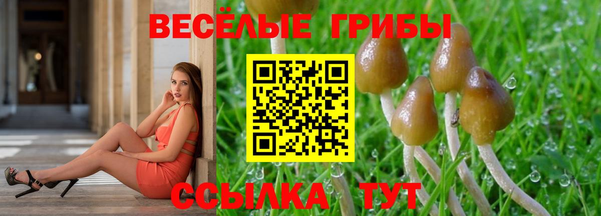 наркота  Вход с VPN  Самара  Псилоцибиновые грибы мухоморы 